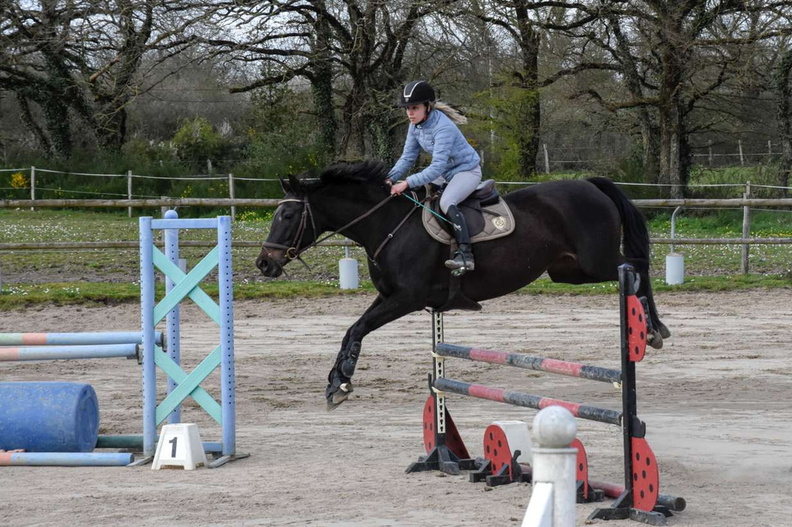 240324 IB Equitation1