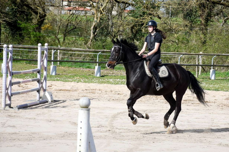 240324 IB Equitation12