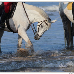 Plage 2024